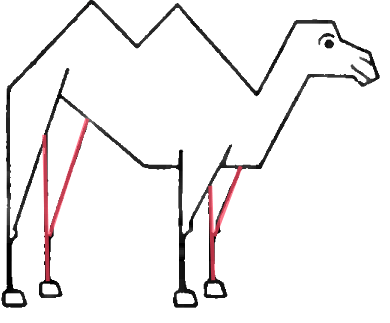 Step 6 : Drawing Camels Step by Step Drawing Tutorial
