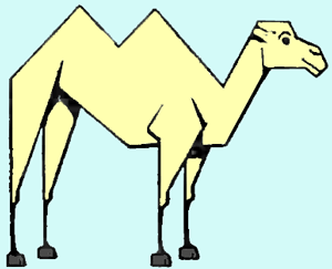Drawing Camels with Easy Steps Instructional Lesson for Beginners