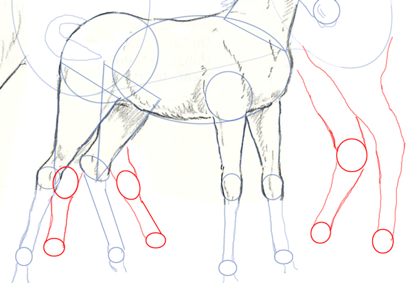 Step 10 : Drawing Horses Step by Step Drawing Lesson