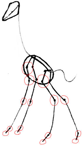 Step 2 : Drawing Giraffes Cartooning Lessons