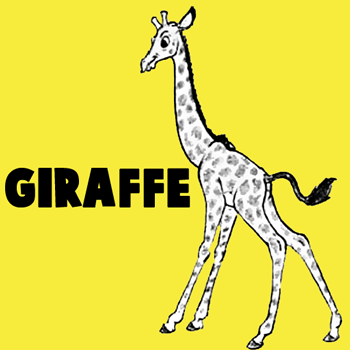 How to Draw Cartoon Giraffes Step by Step Drawing Tutorial