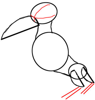 Step 3 : Drawing Cartoon Crows Tutorial