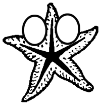 Step 5 : Drawing Starfish in Easy Steps Tutorial