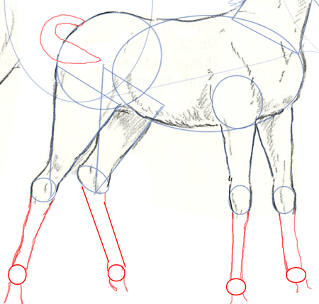 Step 9 : Drawing Horses Step by Step Drawing Lesson