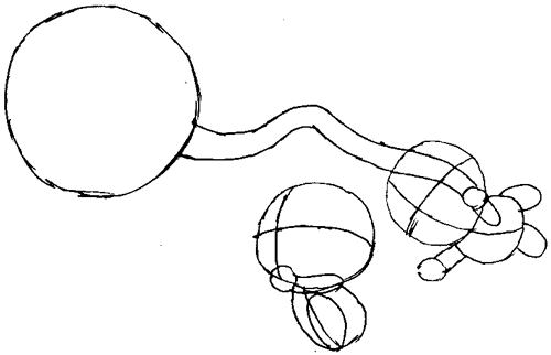 Step 5 : Drawing Baby Mario and Luigi Tutorial