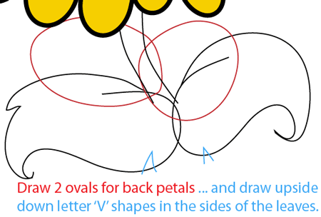 Step 8 : Drawing Sunflower from Plants vs. Zombies Game in Easy Steps Lesson