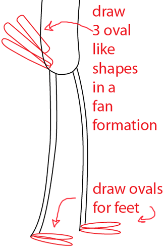 Step 11 : Drawing Mordecai from Regular Show Easy Steps Lesson