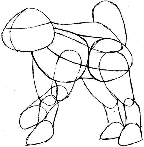 Step 5 : Drawing Raikou from Pokemon Easy Steps Lesson