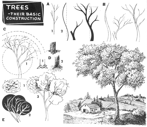 Trees Drawing Tutorials - Art & Architecture