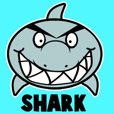How to Draw a Cartoon Shark with Easy Step by Step Drawing Tutorial - How  to Draw Step by Step Drawing Tutorials