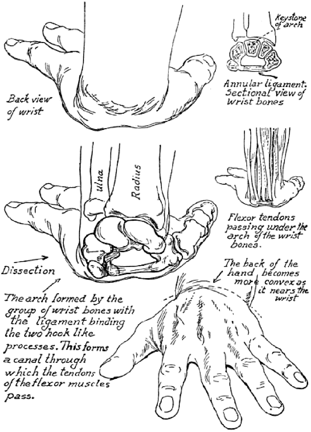 Featured image of post Hand Drawing Reference Side View All front side back above or below