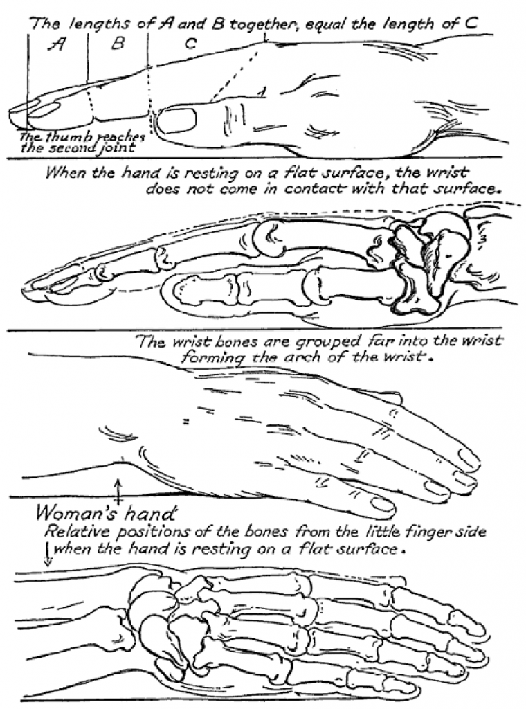Drawing Hands Techniques for How to Draw Hands With References and