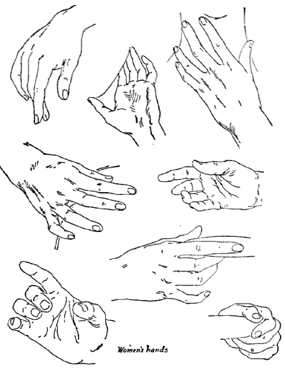 Drawing Hands : Techniques for How to Draw Hands With References and ...