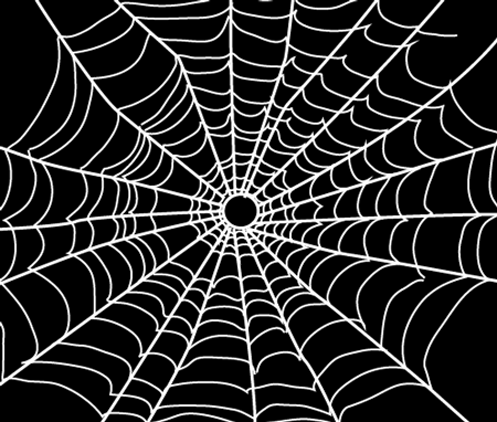 Easy How to Draw a Spider Web Tutorial Video