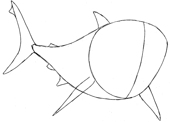 Step 4 : Drawing Bruce from Finding Nemo Easy Steps Lesson