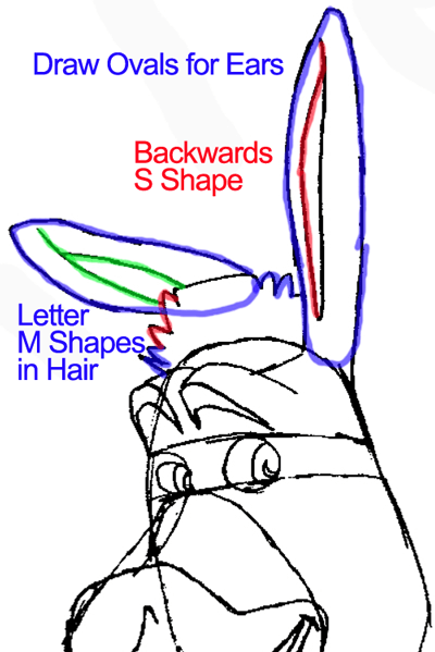 Step 7 : Drawing Donkey from Shrek Easy Steps Lesson
