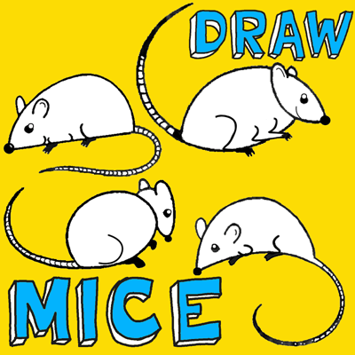 Big Guide to Drawing Cartoon Mice with Basic Shapes for Kids - How to Draw  Step by Step Drawing Tutorials