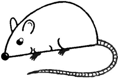 computer mouse drawing royaltyfree cartoon png download  16001557  Free  Transparent Computer Mouse png Download  CleanPNG  KissPNG