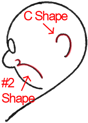 Face B - Step 3 : Drawing Cartoon Face Profiles in Easy Steps Lesson