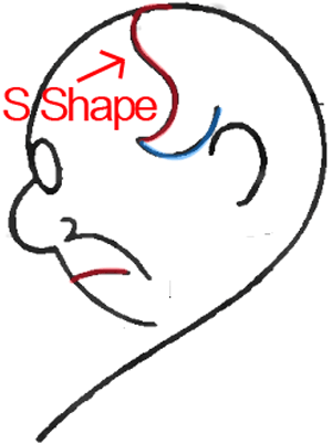 Face B - Step 4 : Drawing Cartoon Face Profiles in Easy Steps Lesson