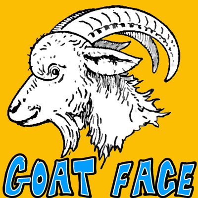 How to draw a goat face with easy step by step drawing tutorial