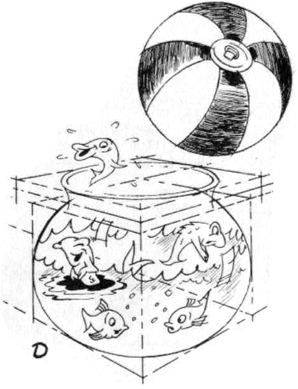 ball and fish bowl circular perspective
