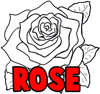 How to Draw a Rose by Hand: Easy Process, Realistic Blooms