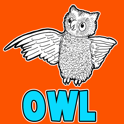 How to Draw Cartoon Owl with Easy Steps Tutorial