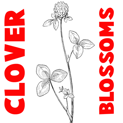 How to Draw Clover Blossoms in Easy Step by Step Drawing Tutorial