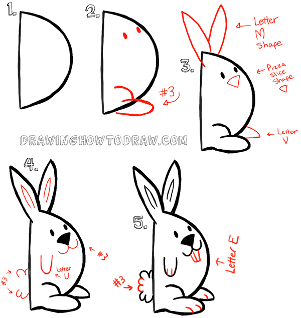 Now Lets Draw a Bunny Rabbit from a Capital Letter D Shape