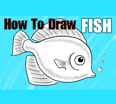 How to Draw a Cute Fish Cartoon with Simple Steps for Kids - How to Draw  Step by Step Drawing Tutorials
