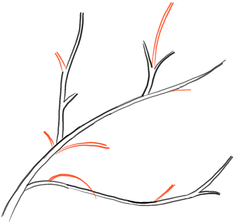 How To Draw Tree Branches Full Of Leaves Drawing Tutorial How To Draw Step By Step Drawing Tutorials