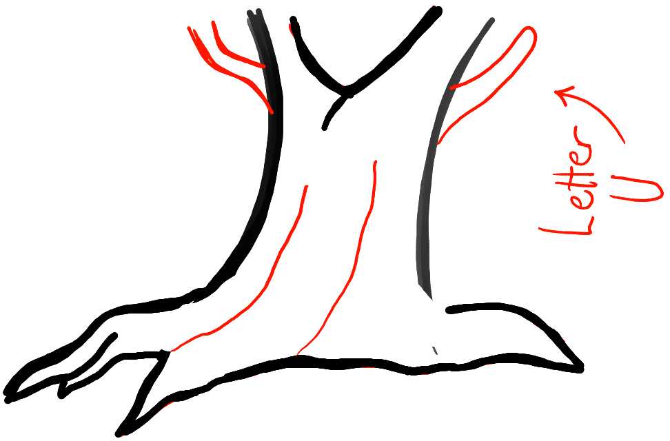 step04-how-to-draw-cartoon-trees