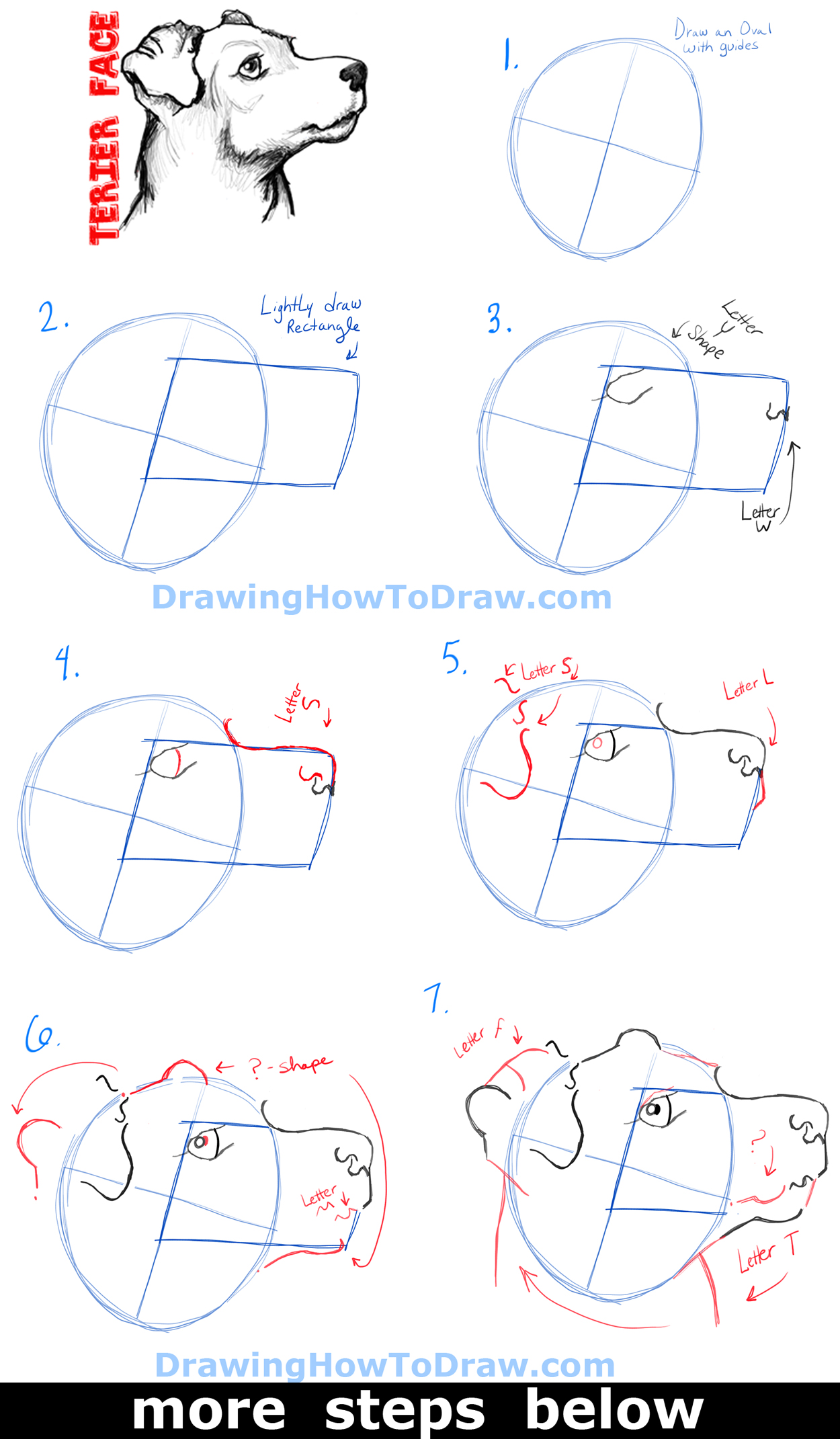 How to Draw a Terrier's Face / Dog's Face with Easy Steps - How to Draw Step by Step Drawing ...