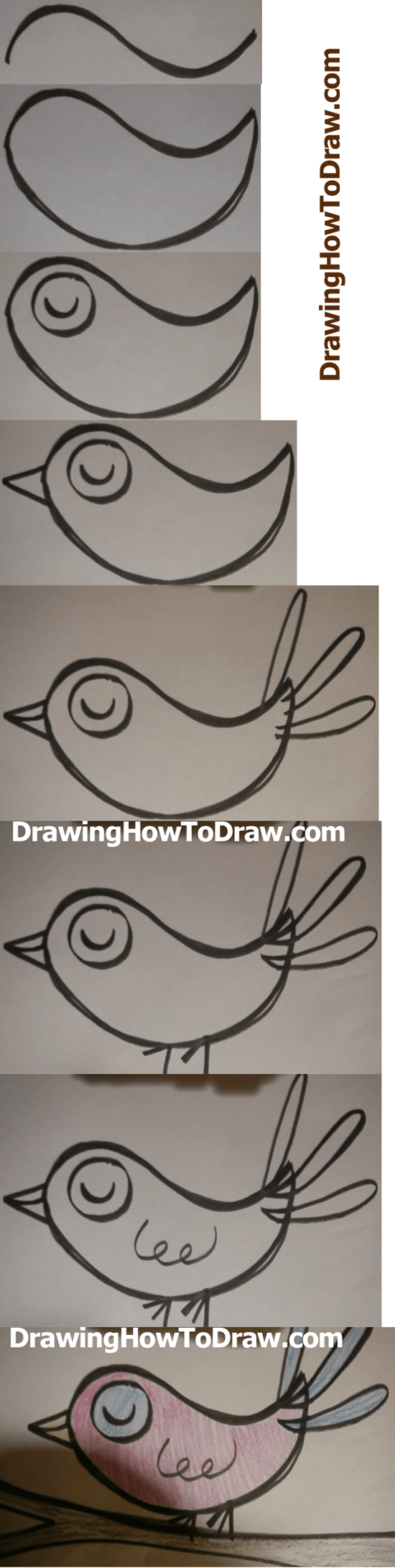How to Draw Cartoon Birds Simple Step by Step Drawing Lesson for Children