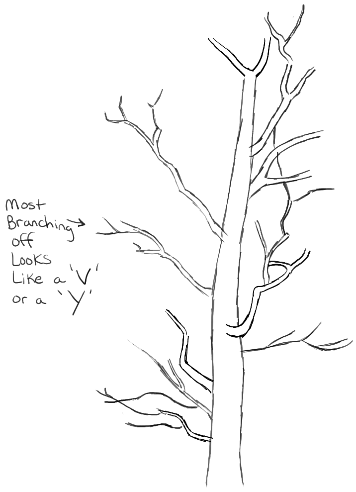 step04-learn-howtodraw-trees