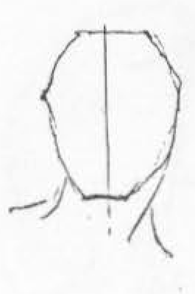03-drawing-head-Draw a straight line through the length of the face, passing it through the root of the nose