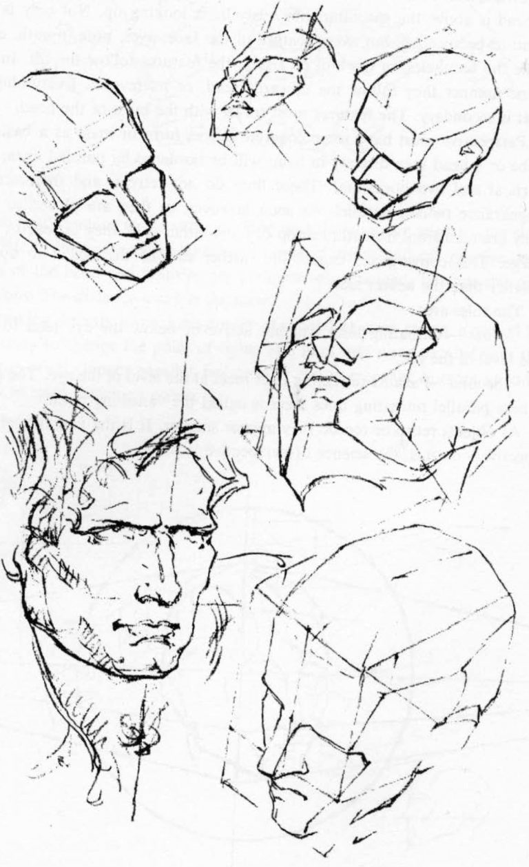 How to Draw the Head in Perspective Drawing Human Head in Perspective Tutorial How to Draw