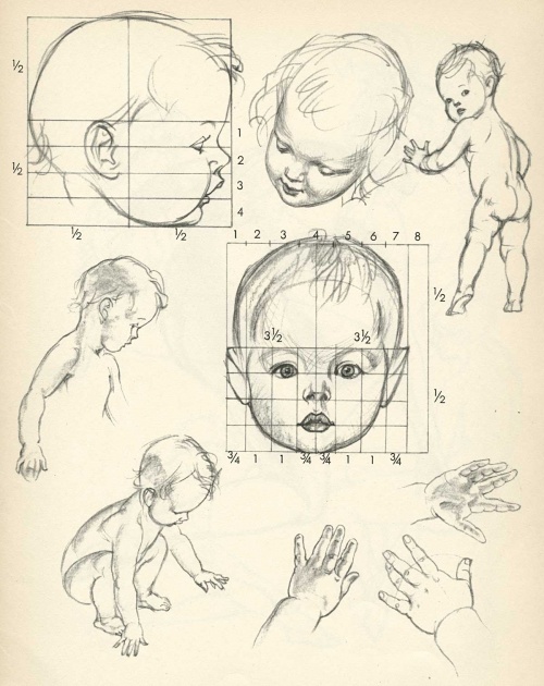 Drawing a Baby's Head in the Correct Proportions