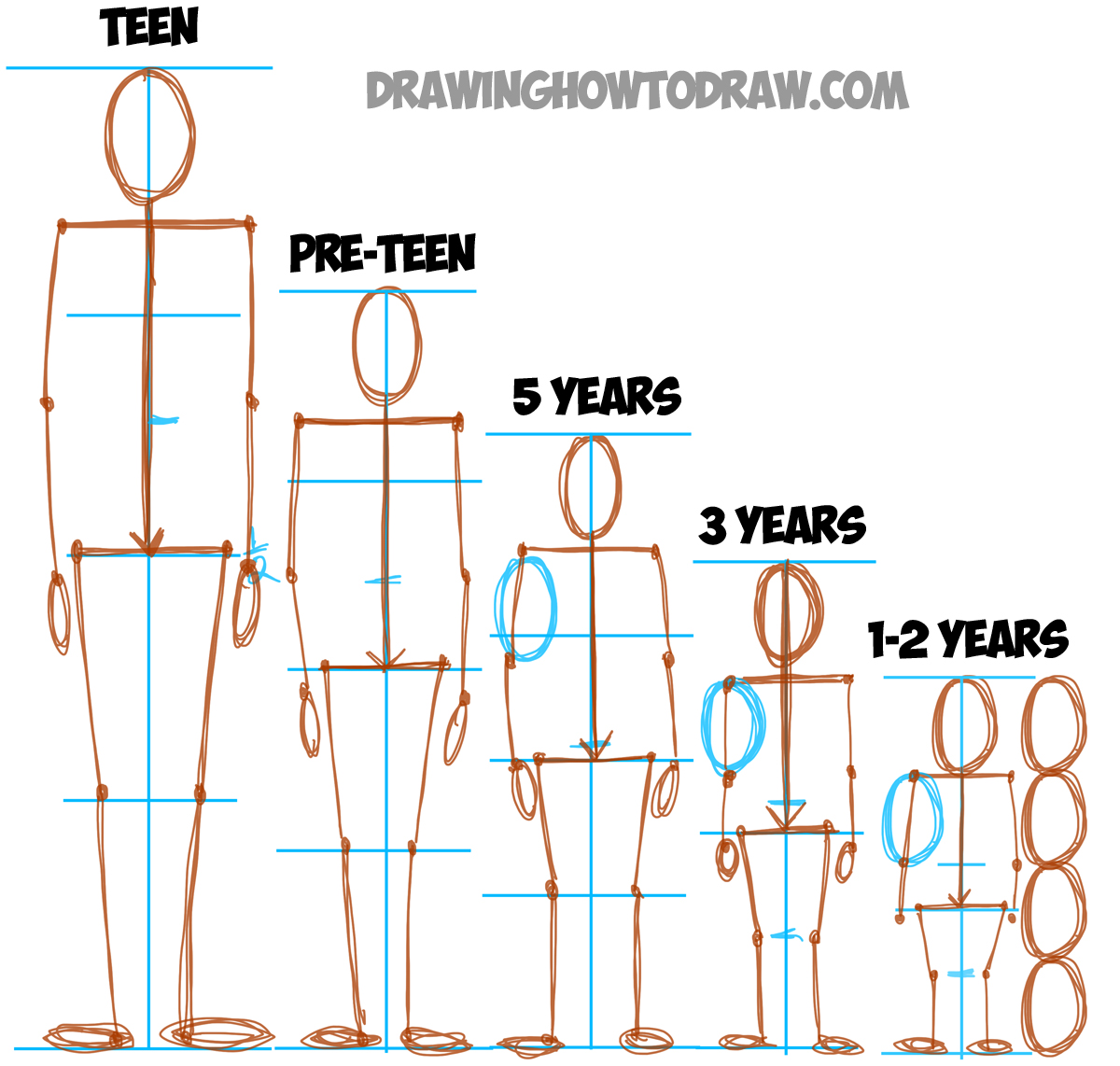 How to draw human anatomy program - lasopapanda