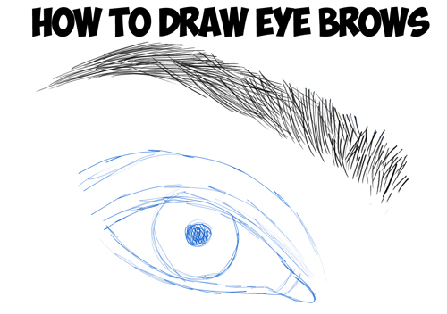 how to draw eye brows