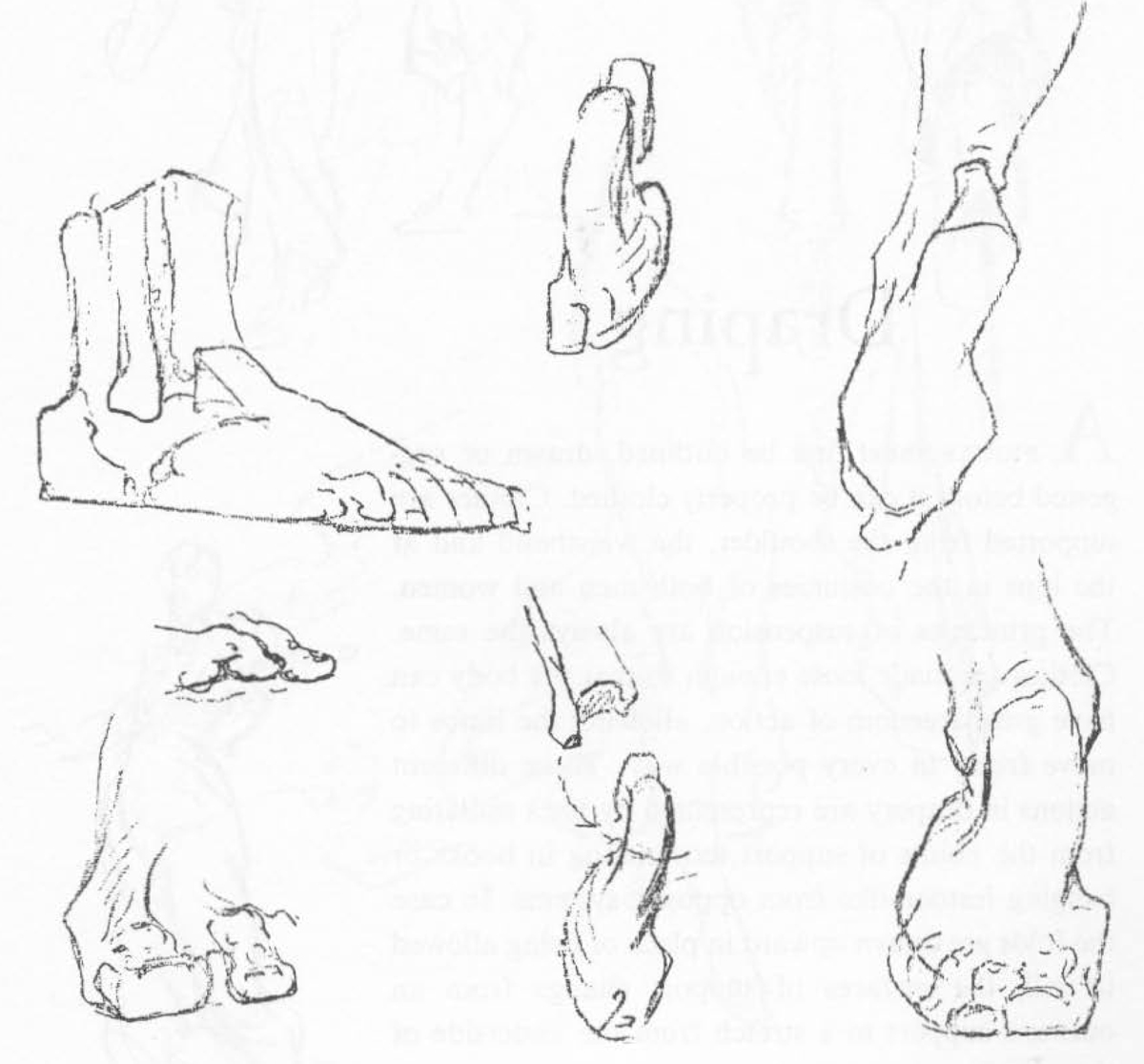 how to draw the human foot
