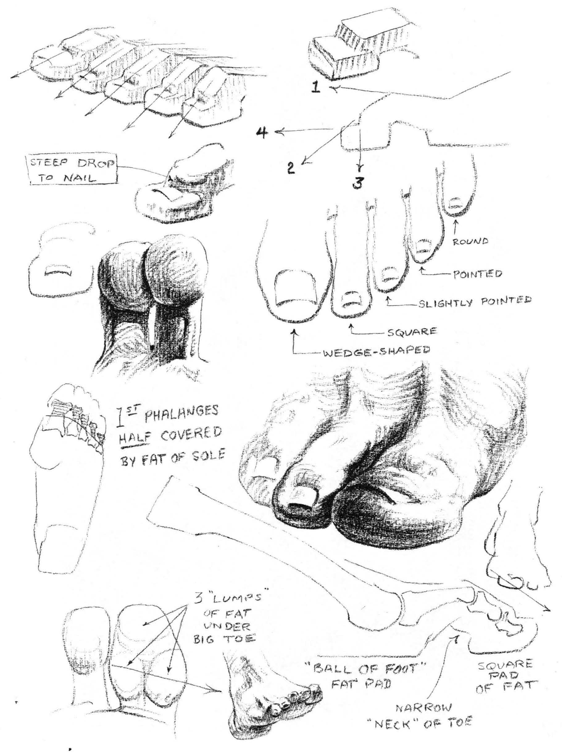how to draw legs and feet