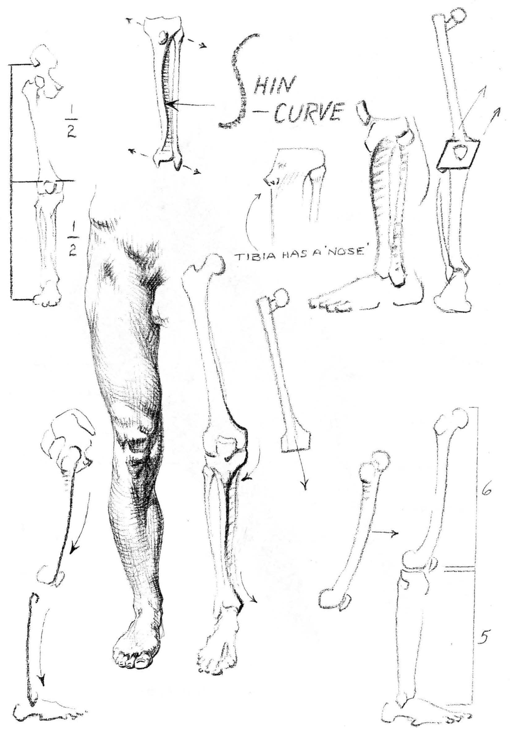 drawing-feet-legs6