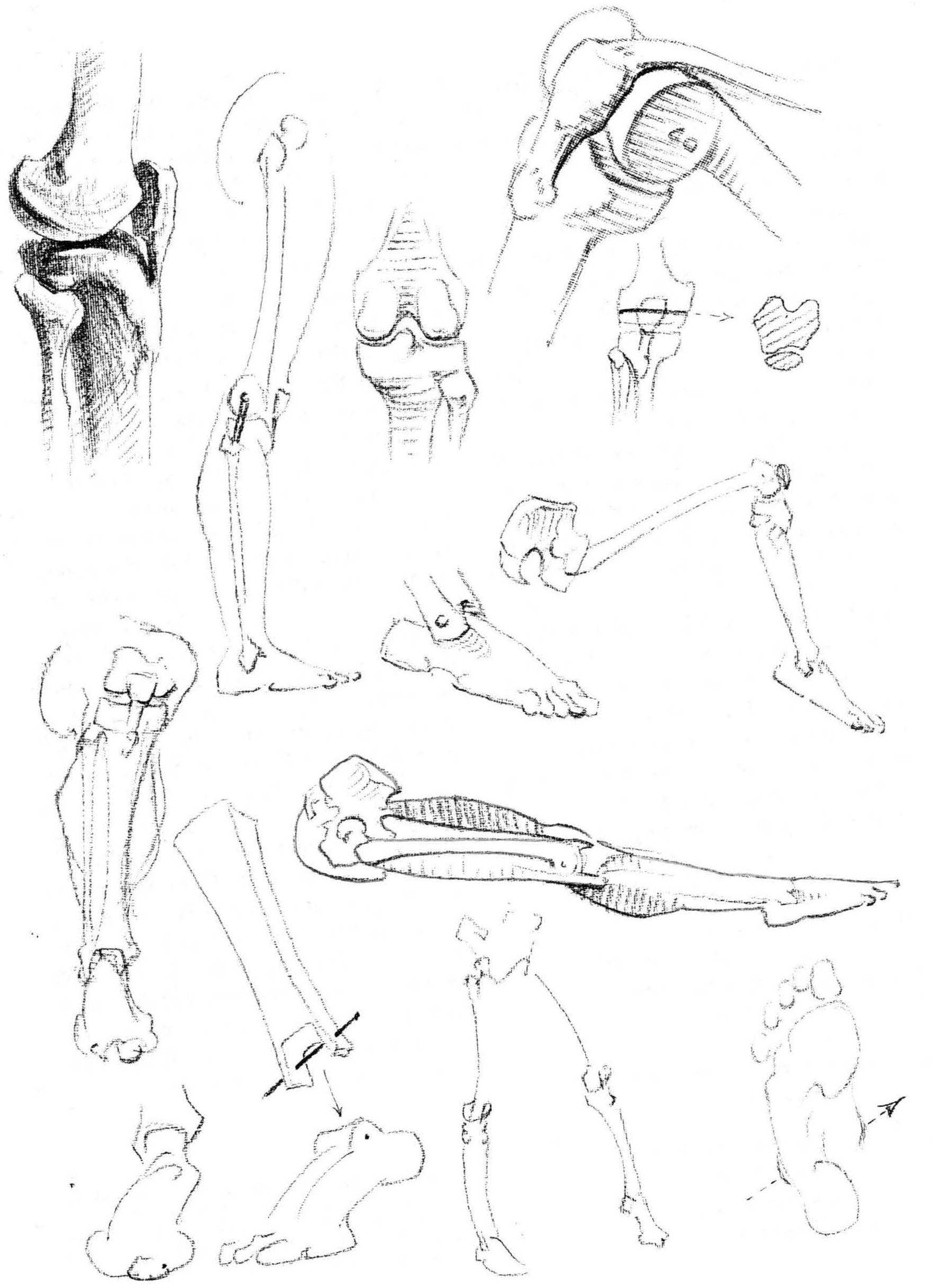 drawing-feet-legs7