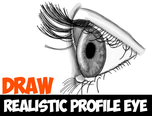 Featured image of post How To Draw Eyes On A Face / You know so much its almost tough to argue with you (not that i personally would want to…haha).