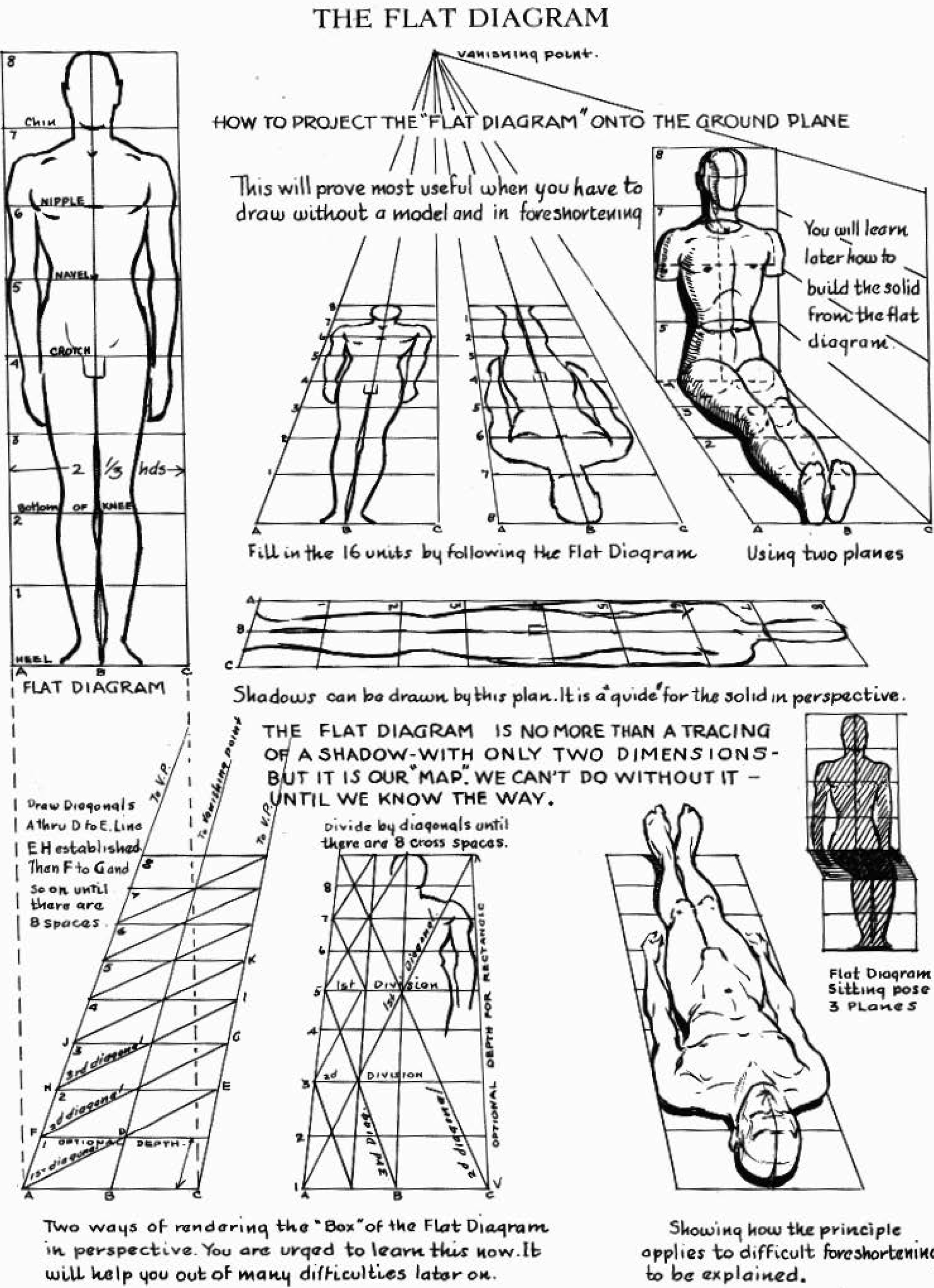 Human Figure Drawing Proportions - Proportions Human Body Drawing ...