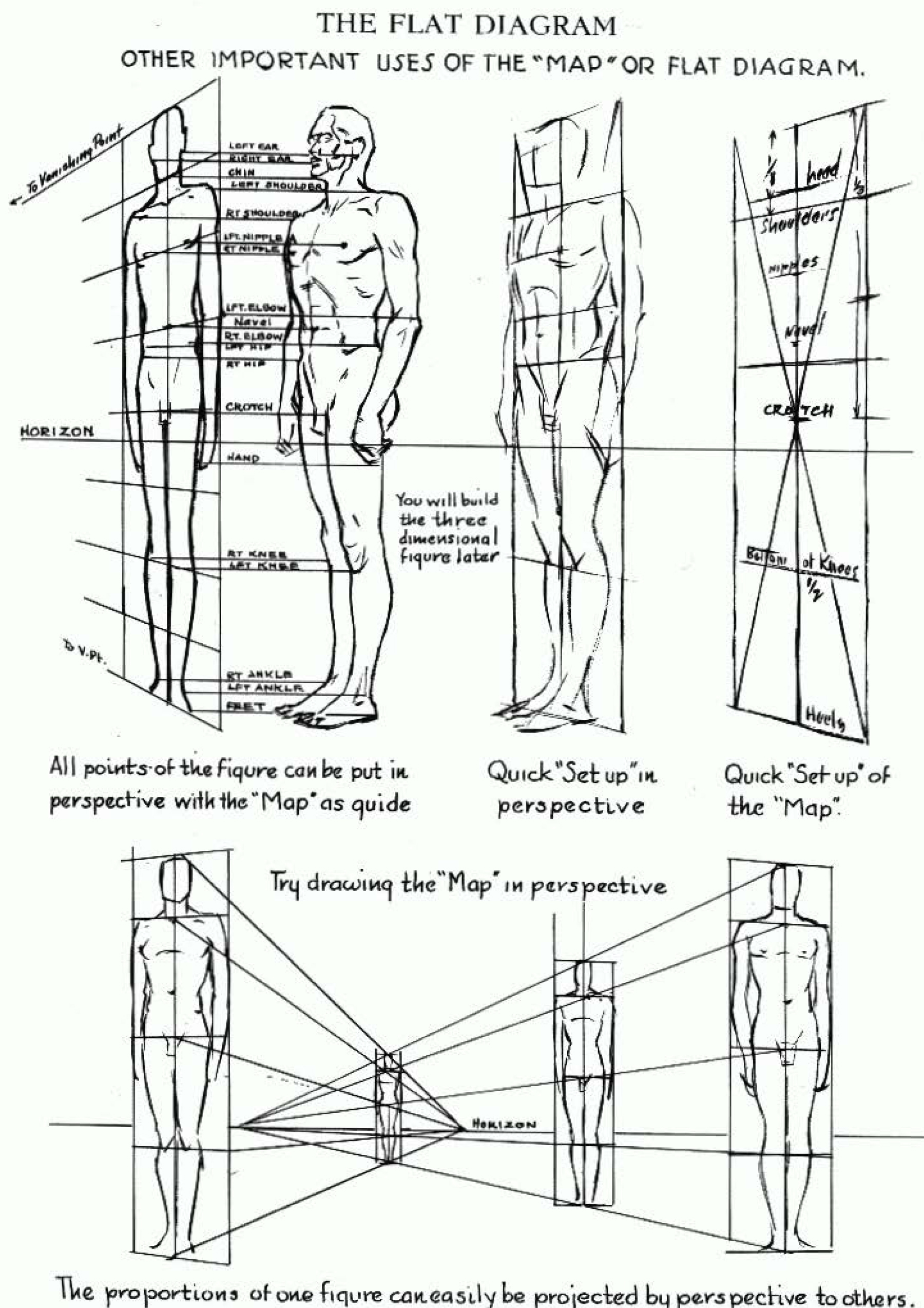 Proportions of the Human Figure : How to Draw the Human Figure in the