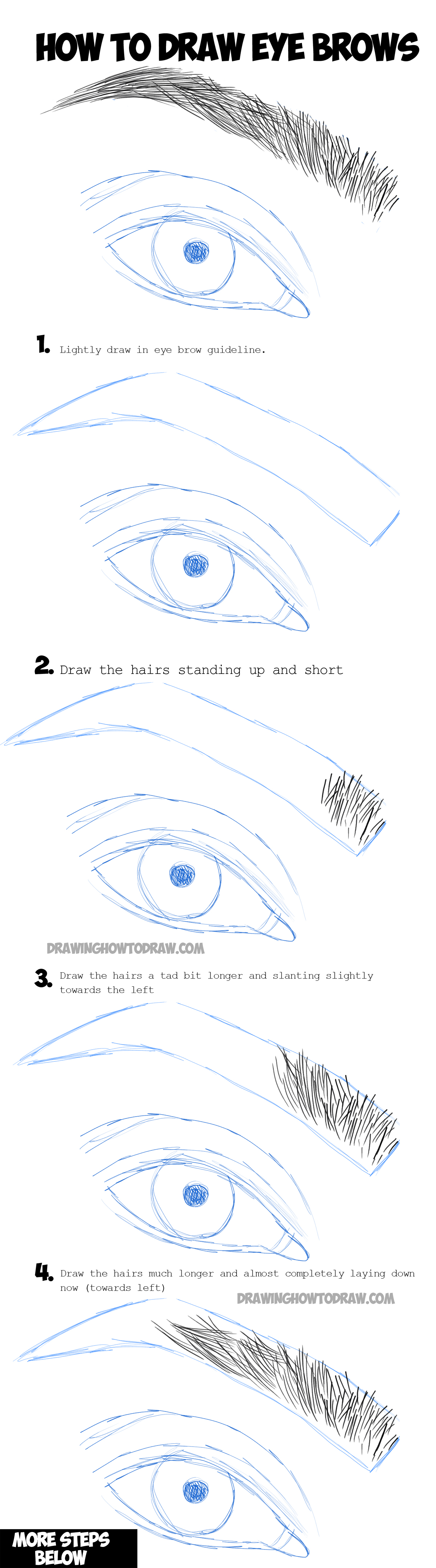 Learn How to Draw Eye Brows Step by Step Drawing Tutorial