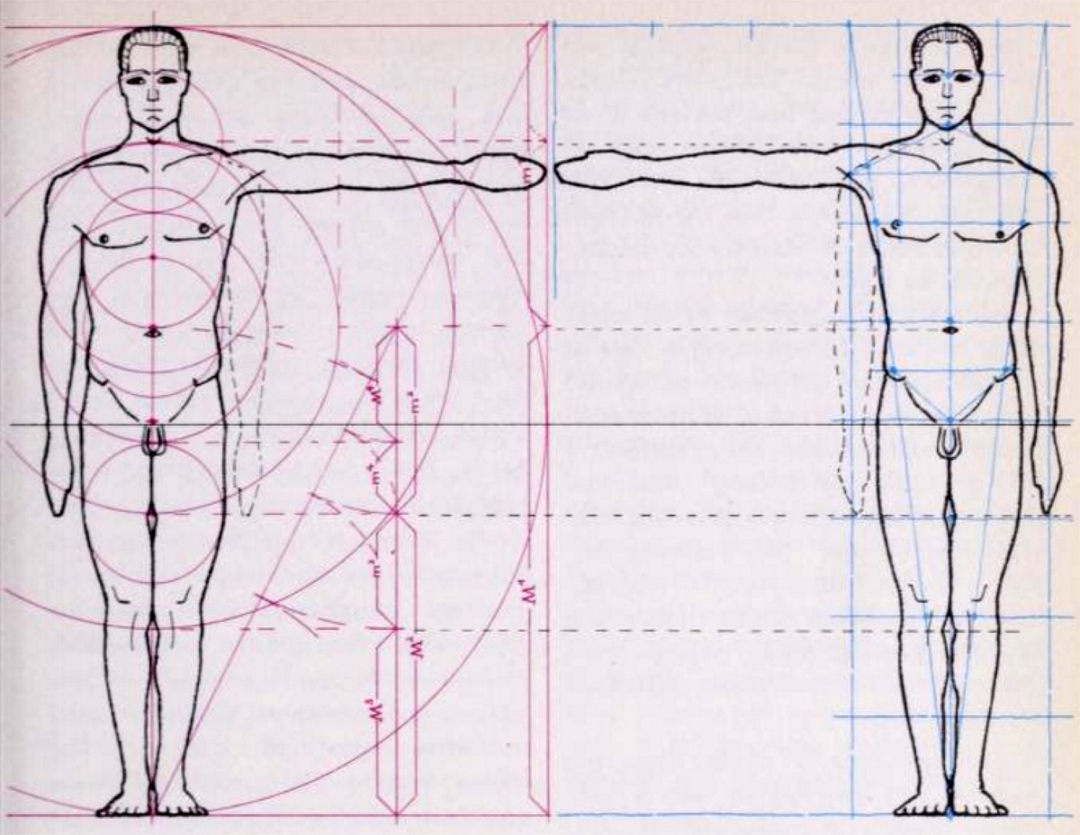 Dynamic Figure Drawing Volume 3 The Body  The Gnomon Workshop